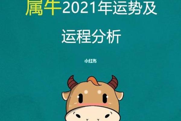 1961年属牛2026年11月运程解析，感情健康全知晓