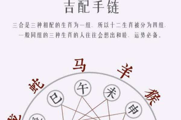 马三合生肖是什么 马三合生肖查询方法