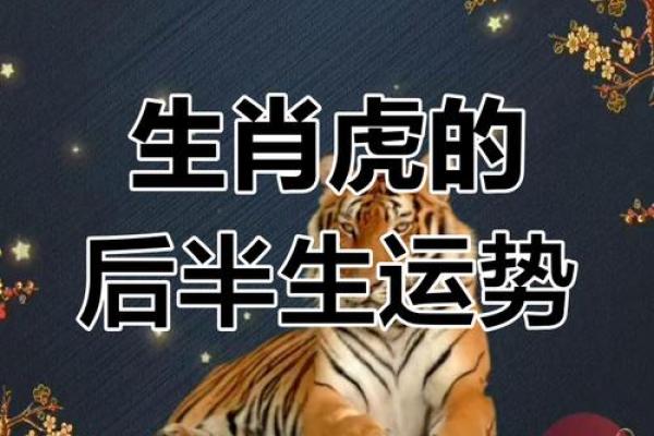 属虎人2026年运势详解:财运、事业和健康全解析 属虎人2026年运势详解:财运、事业和健康全解析