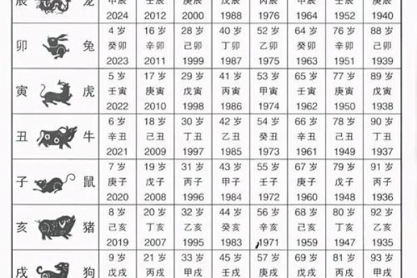 31岁的人属什么生肖 31岁属相查询年龄对照表