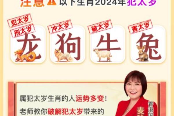 麦玲玲2013生肖运程 麦玲玲2013年属马运势详解