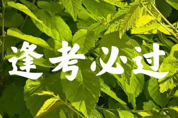 考试必过吉利话四字 四字考试吉利话大全