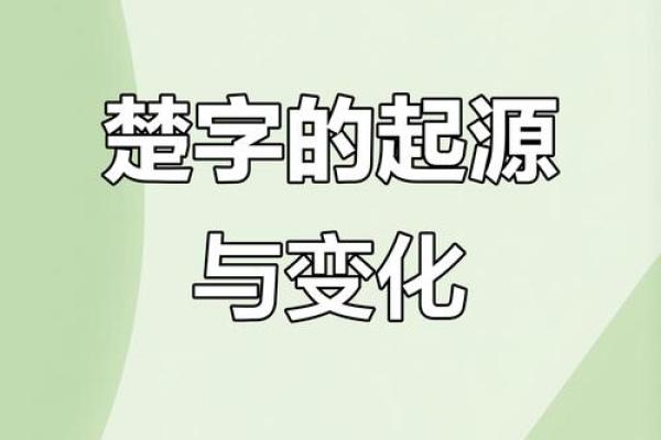 楚指什么生肖 楚字代表哪个生肖动物 楚指什么生肖 楚字代表哪个生肖动物