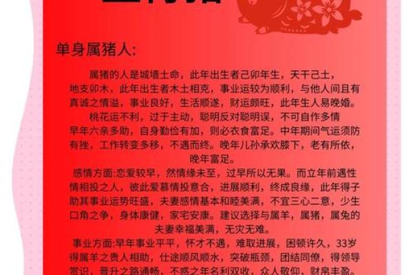 2007年是什么年属什么生肖 2007年出生属猪运势