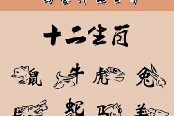 起是什么生肖 起字代表哪个生肖