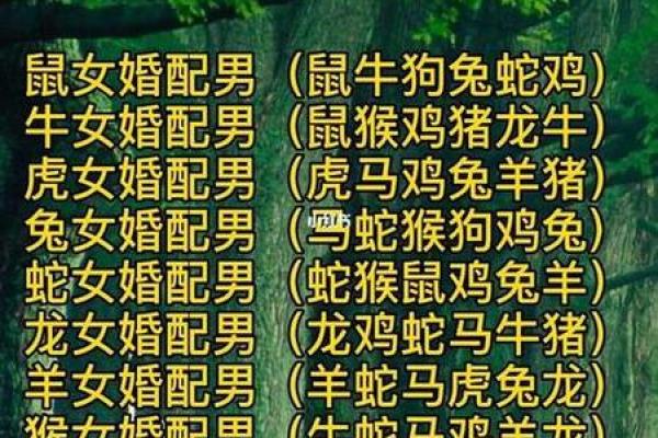 属龙男与属猴女结婚后的婚姻运势如何?需要注意哪些问题? 属龙男与属猴女结婚后的婚姻运势如何?需要注意哪些问题?