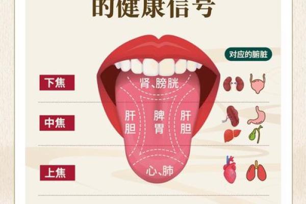 舌头带毒指什么生肖 什么生肖舌头有毒