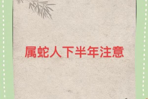 属蛇人一月到十二月运势详解，全年趋吉避凶指南