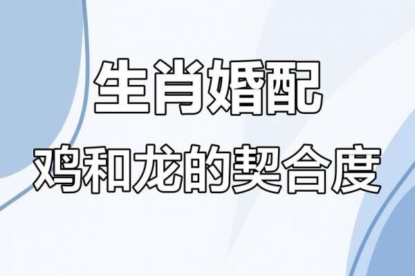 男属龙女属鸡结婚好吗？婚后财运和子女运势如何需要注意什么