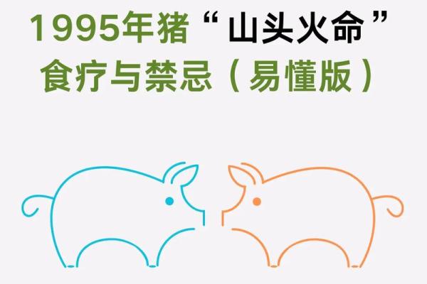 95年属什么生肖 1995年出生今年运势如何
