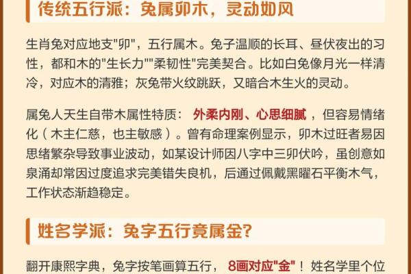 属兔人2026年运势详解完整版，每月运程及注意事项解析