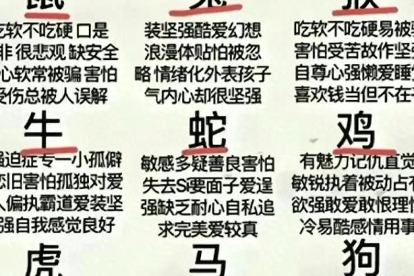 精神是什么生肖 精神生肖查询方法
