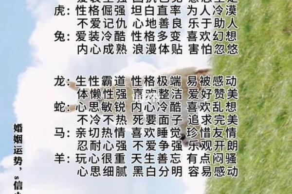 精神是什么生肖 精神生肖查询方法