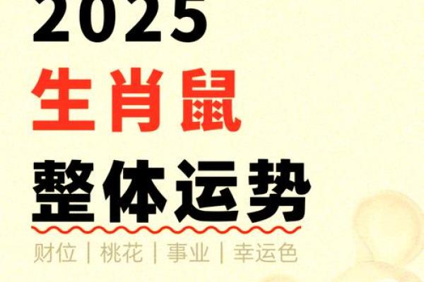 1972年出生属鼠人士2026年每月财运健康事业感情完整运势