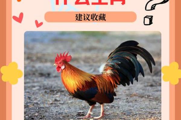 浴血奋战冲在前是什么生肖 浴血奋战冲在前打一生肖