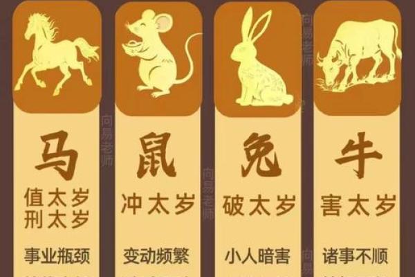 虚岁79岁属什么生肖 79虚岁今年运势如何 虚岁79岁属什么生肖 79虚岁今年运势如何