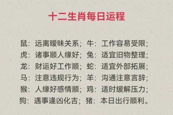 属龙的人今年运势如何？2024年运程详解