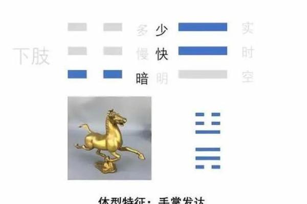 高瞻远瞩是什么生肖 高瞻远瞩打一生肖答案