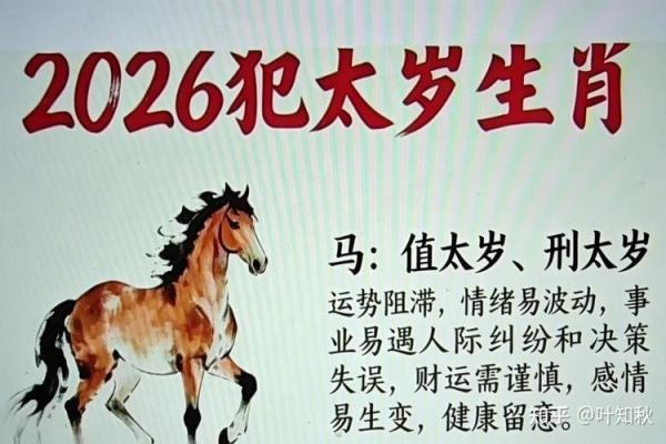 属马人2026年全年运势详解：财运、事业和健康需要注意哪些方面？