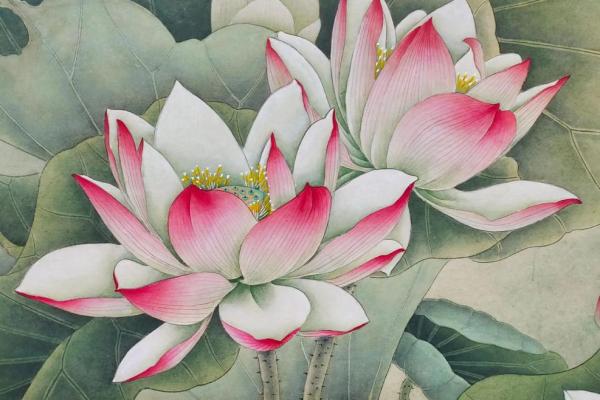 荷花是指什么生肖 荷花对应生肖查询
