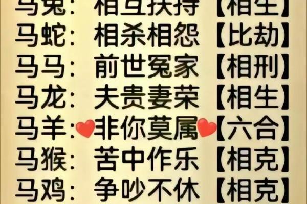 马后面的生肖是什么生肖呢 十二生肖马后面是什么