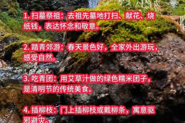 清明节能去别人家做客吗 清明期间串门是否合适 清明节能去别人家做客吗 清明期间串门是否合适