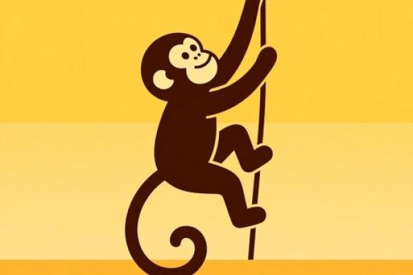 2026年属猴人全年运势详解及每月运程分析 2026年属猴人全年运势详解及每月运程分析
