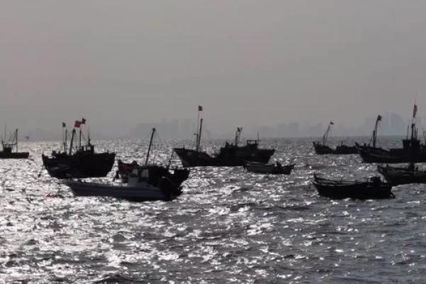 四海为家准确打一生肖 四海为家打一生肖是什么