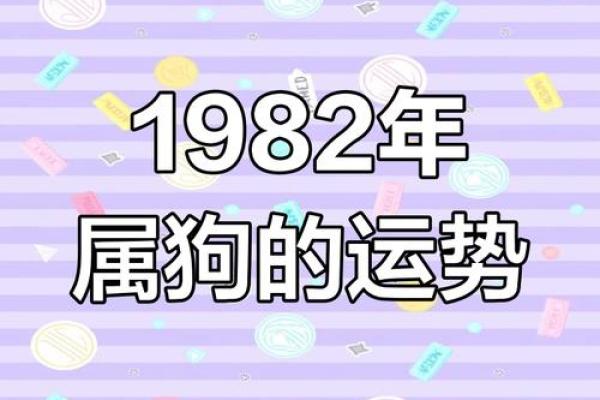 1982年出生属狗者2026年每月运势及运程完整解析