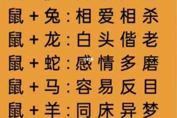 1972年出生属鼠的婚姻配对，哪些生肖组合最旺运势