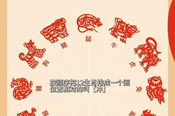 十二生肖排第六代表什么生肖 十二生肖第六位是什么动物