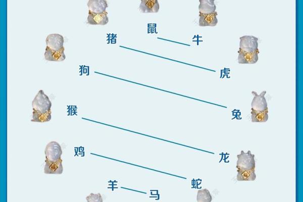 十二生肖排第六代表什么生肖 十二生肖第六位是什么动物