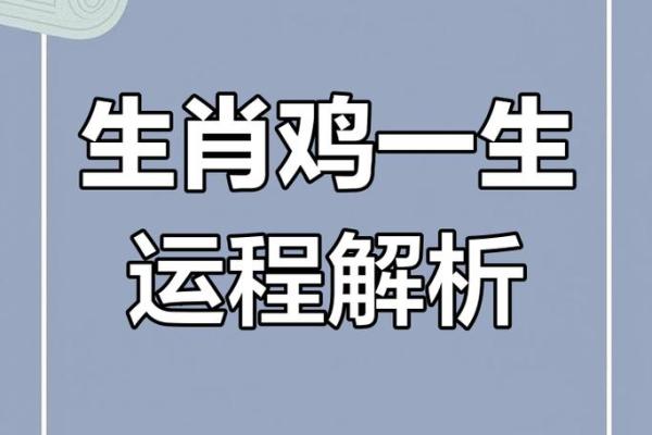 属鸡人2026年每月运势完整版详解，每月财运事业健康感情运程分析