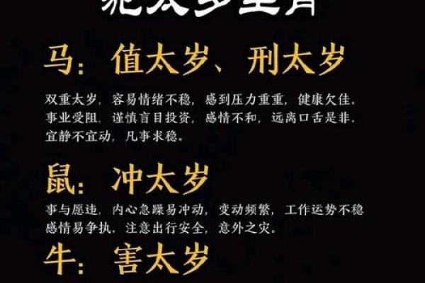 2026年属马人全年运势完整版分析及每月运程