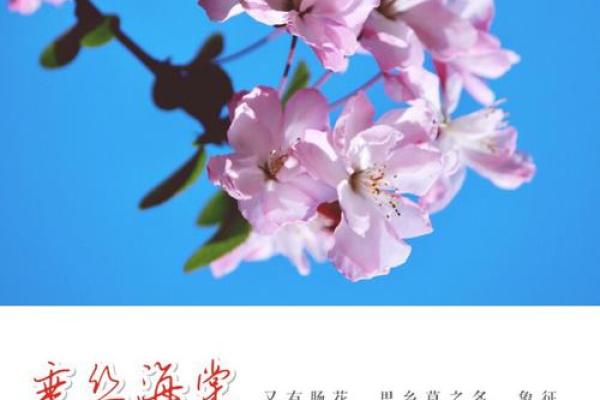 一十轻风四七吹是什么生肖 一十轻风四七吹生肖含义解析