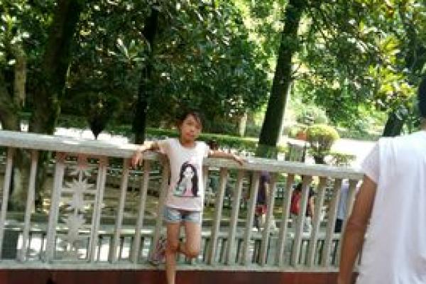 一十轻风四七吹是什么生肖 一十轻风四七吹生肖含义解析