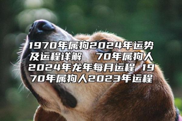 1970年属狗的人2026年每月运势详解,事业财运健康感情完整解析 1970年属狗的人2026年每月运势详解,事业财运健康感情完整解析