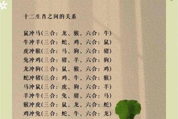 冲锋陷阵打一个生肖 冲锋陷阵代表什么生肖