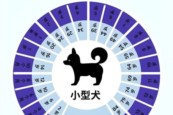 1994年出生属狗2026年全年财运、事业和感情运势如何