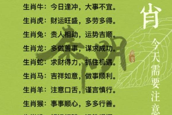 单刀直入指什么生肖 单刀直入打一生肖答案