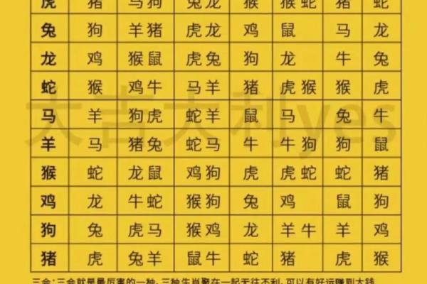 贼是什么生肖 小偷代表哪个生肖