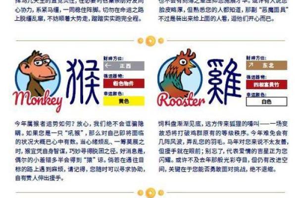 百里挑一指什么生肖 百里挑一生肖含义解析