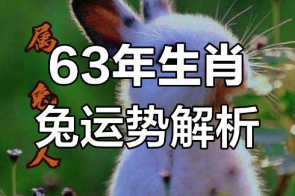 1963年属兔2026年9月最新运势 1963年属兔2026年9月最新运势
