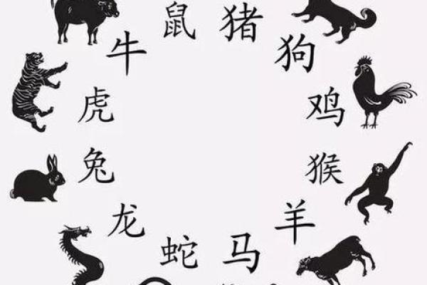尼指什么生肖 尼字代表什么动物生肖