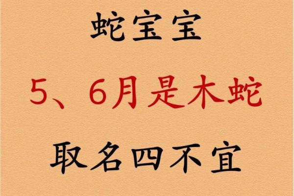 尼指什么生肖 尼字代表什么动物生肖
