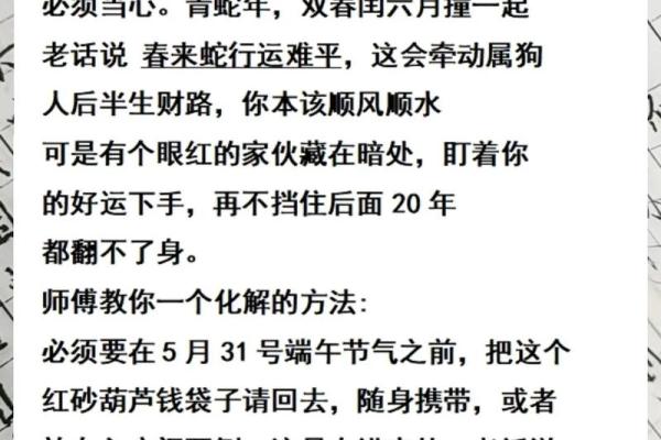 1982年出生属狗者在2026年婚姻感情运势如何发展 1982年出生属狗者在2026年婚姻感情运势如何发展