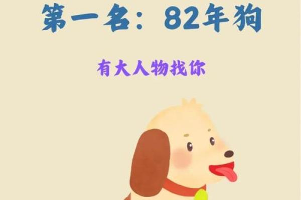 1982年出生属狗者在2026年婚姻感情运势如何发展 1982年出生属狗者在2026年婚姻感情运势如何发展