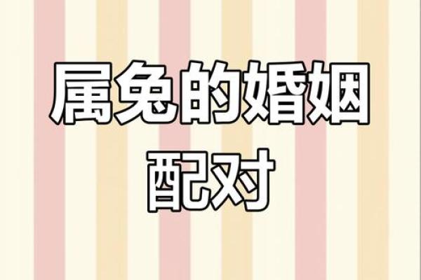 99年兔和什么生肖最配 99年属兔的婚配生肖推荐