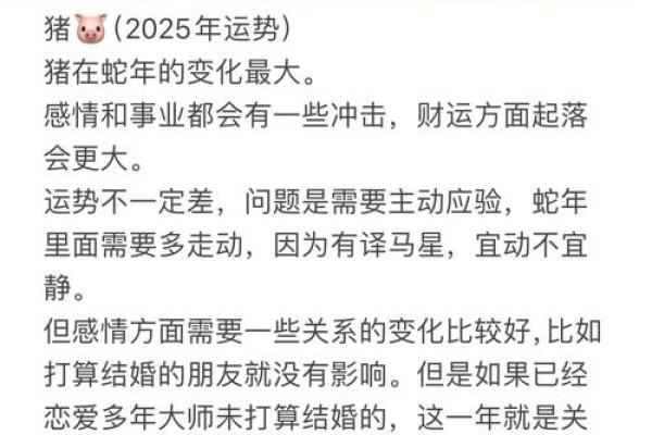 生肖猪2026年运势如何？事业财运早知道