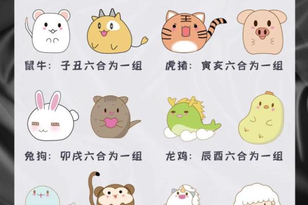 纷字是什么生肖 纷字代表哪个生肖动物